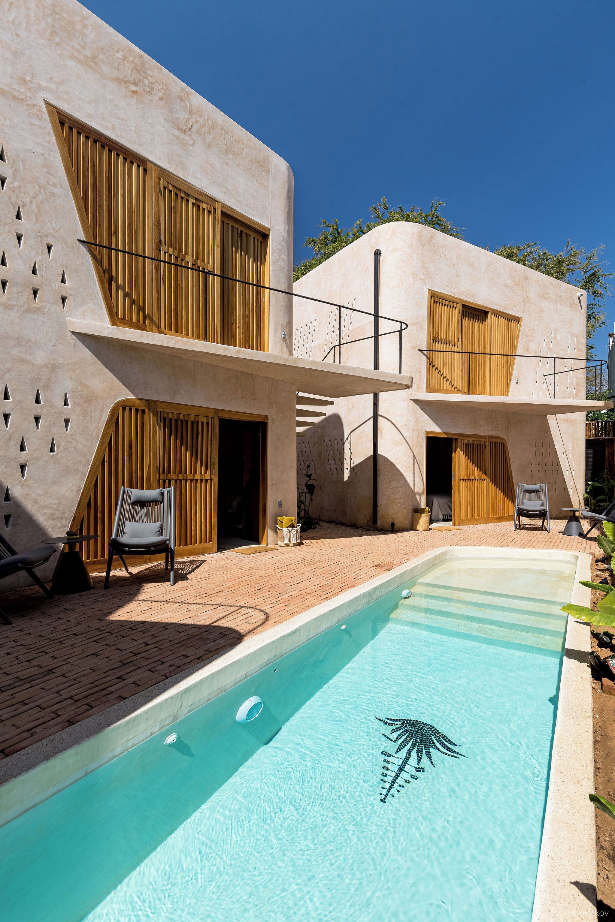 Photo - Quiote Quiote