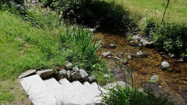 A natural outdoor area with a small stream, rocks, and greenery. - Erholsame, Familienfreundliche 1-zi Fewo am Bach Bzw. am Ski-lift (Todtnau)