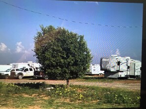 A tree in a grassy area with a barbed wire fence in the background. - 1 Bed, 1 Bath High End RV, Fully Furnished, Pet  Friendly (Midland)