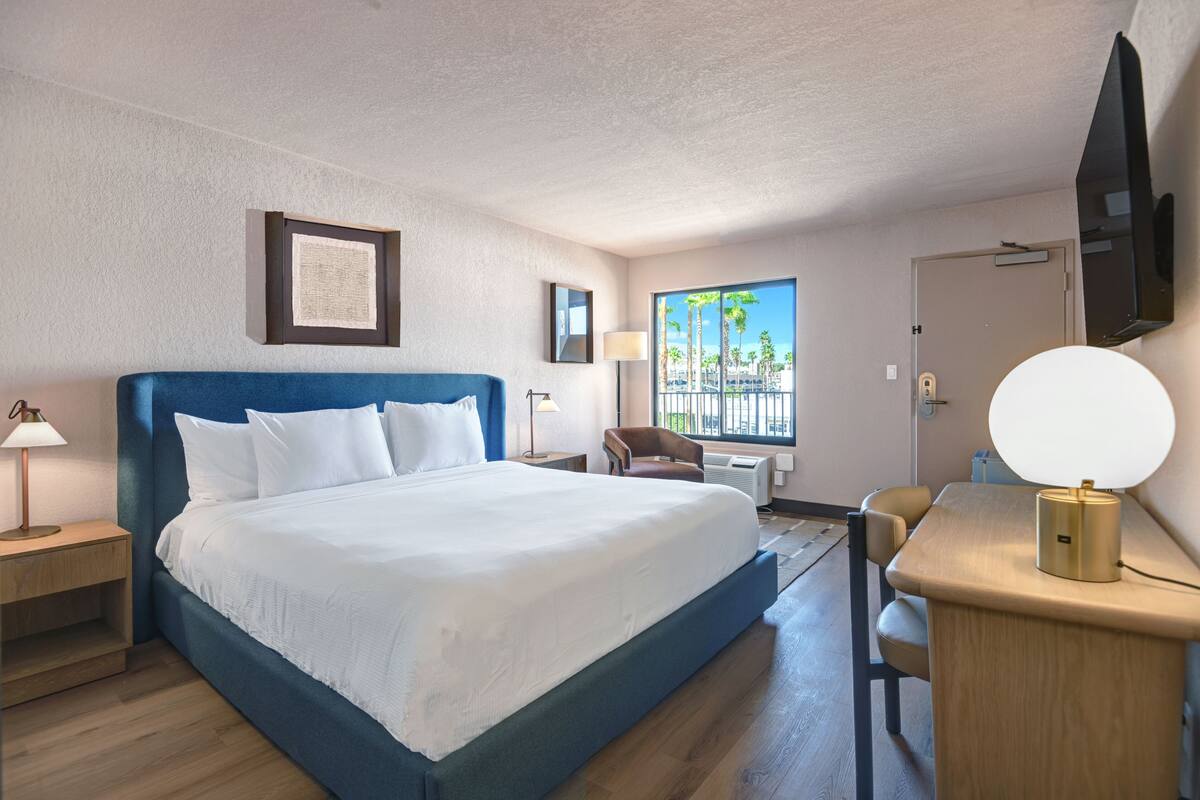 A hotel room with a large bed, a desk, a chair, a lamp, a TV, and a window with a view of palm trees.