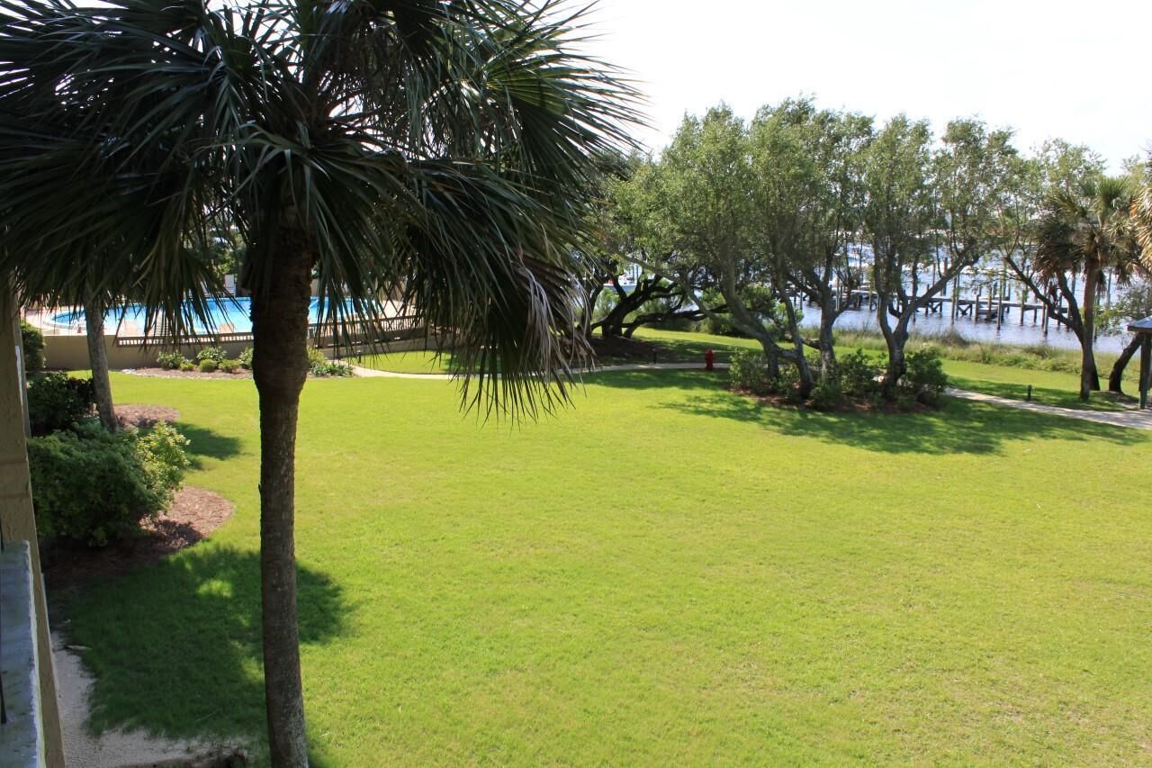 A well-maintained lawn with a palm tree, a dock extending into a body of water, and a building in the background.