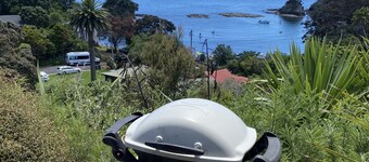 Rustic cabin, sea views, deck, bbq, kayak/SUP, wifi, 2 mins walk to beach, pets