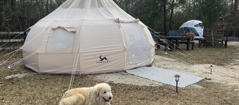 Farmstay Glamping AGRItourism retreat-HERSHEYS HUT-cows, chicks, goat, minihorse