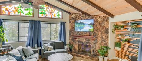 TV, fireplace, books