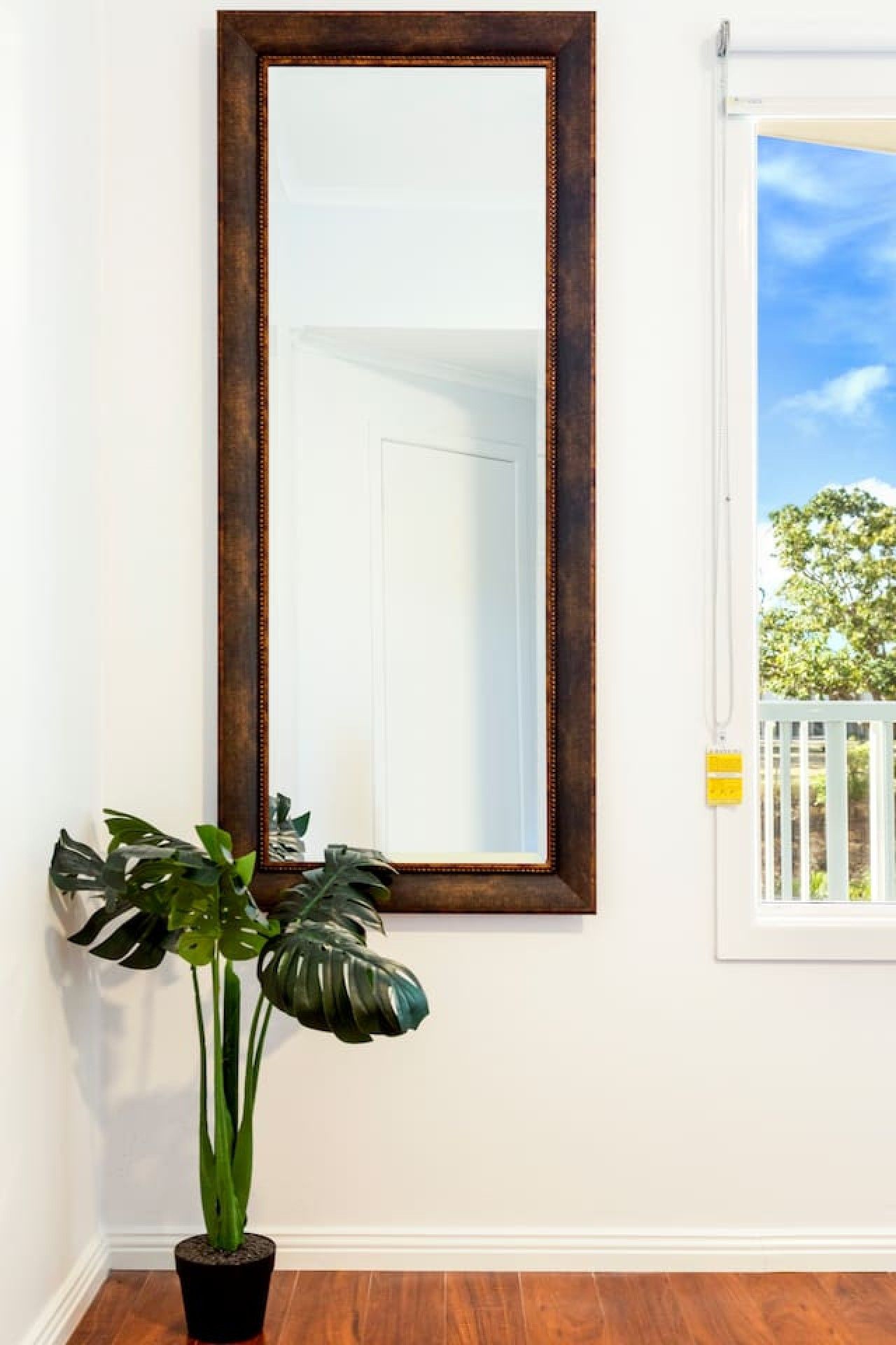 Une pièce avec un grand miroir au mur, une plante en pot et une porte donnant sur un espace extérieur avec vue sur des arbres et une clôture blanche.