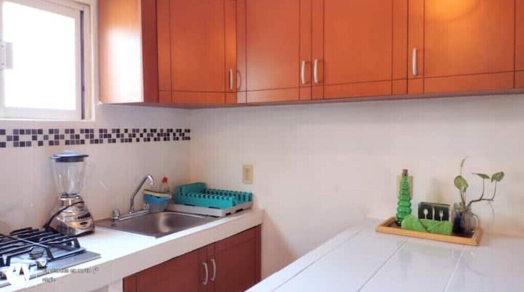 Een keuken met houten kastjes, een blender, een spoelbak en een kleine plant op het aanrecht.