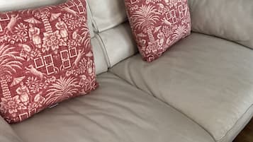 Smart TV, DVD player, books