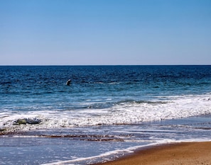 On the beach