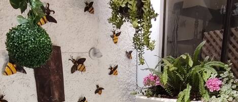 テラス / パティオ