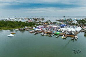 Marina - Coastal Beachfront Condo~Heated Pool~Turtles Nest, West (Dauphin Island)