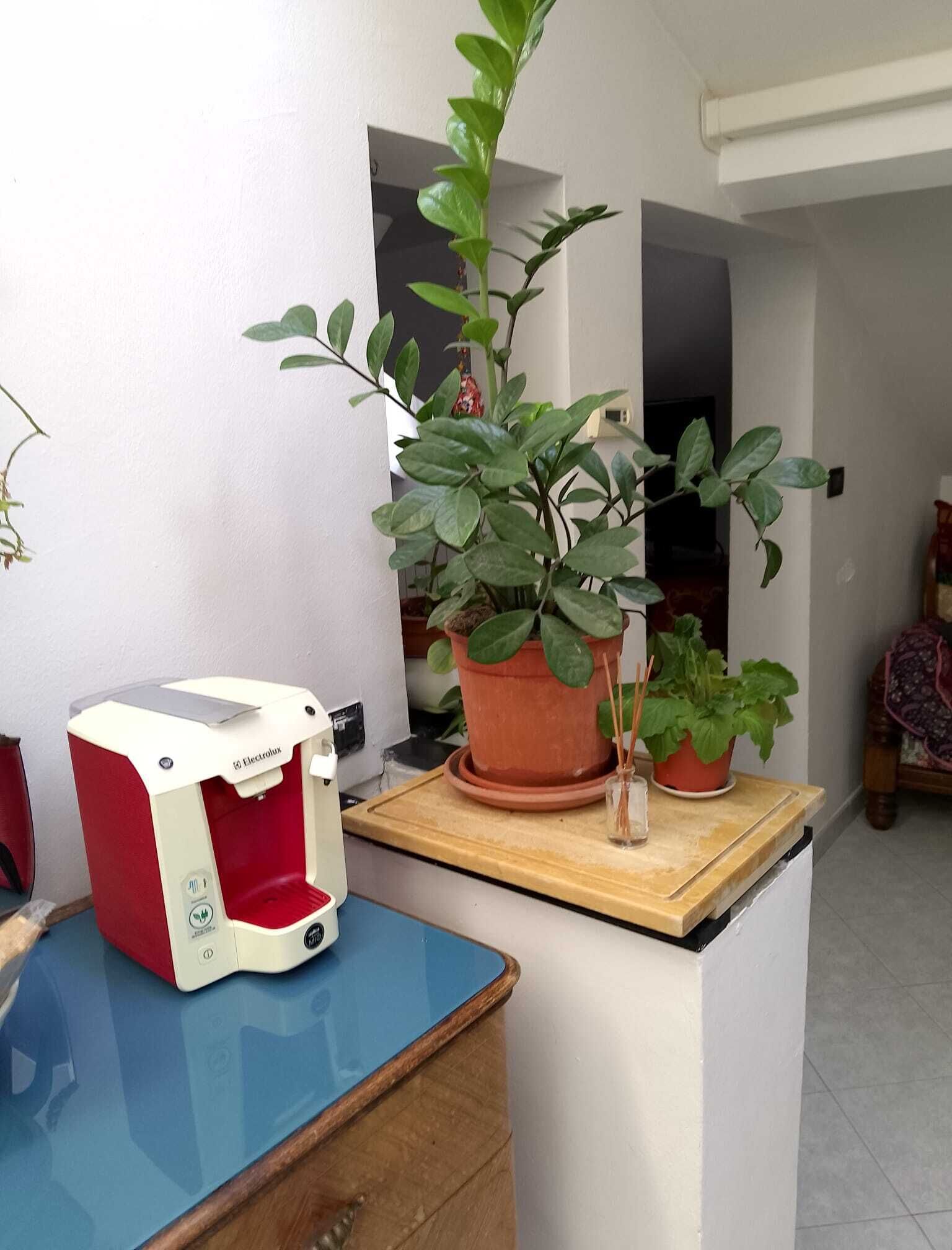 Appartamento, 1 camera da letto | Interni