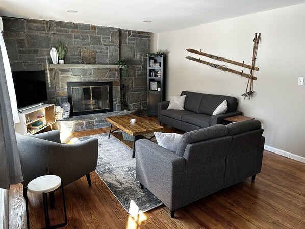 Smart TV, fireplace, books