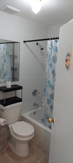 Secador de cabelo, toalhas de banho, sabonete, papel higiênico