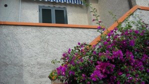 A building with a textured facade, a window with shutters, and a striped awning. - House Miclara studio apartment -- Almond tree (Zanca)