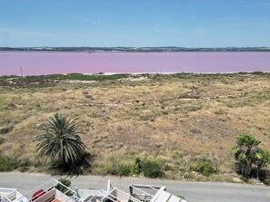 A view of a coastal area with a large body of water, dry grassland, and a few palm trees. - Hogar del Corazon - Lakefront - Pets Welcome! (Torrevieja)