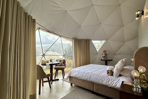Deluxe-Suite, 1 Queen-Bett | 1 Schlafzimmer, Allergikerbettwaren, individuell dekoriert