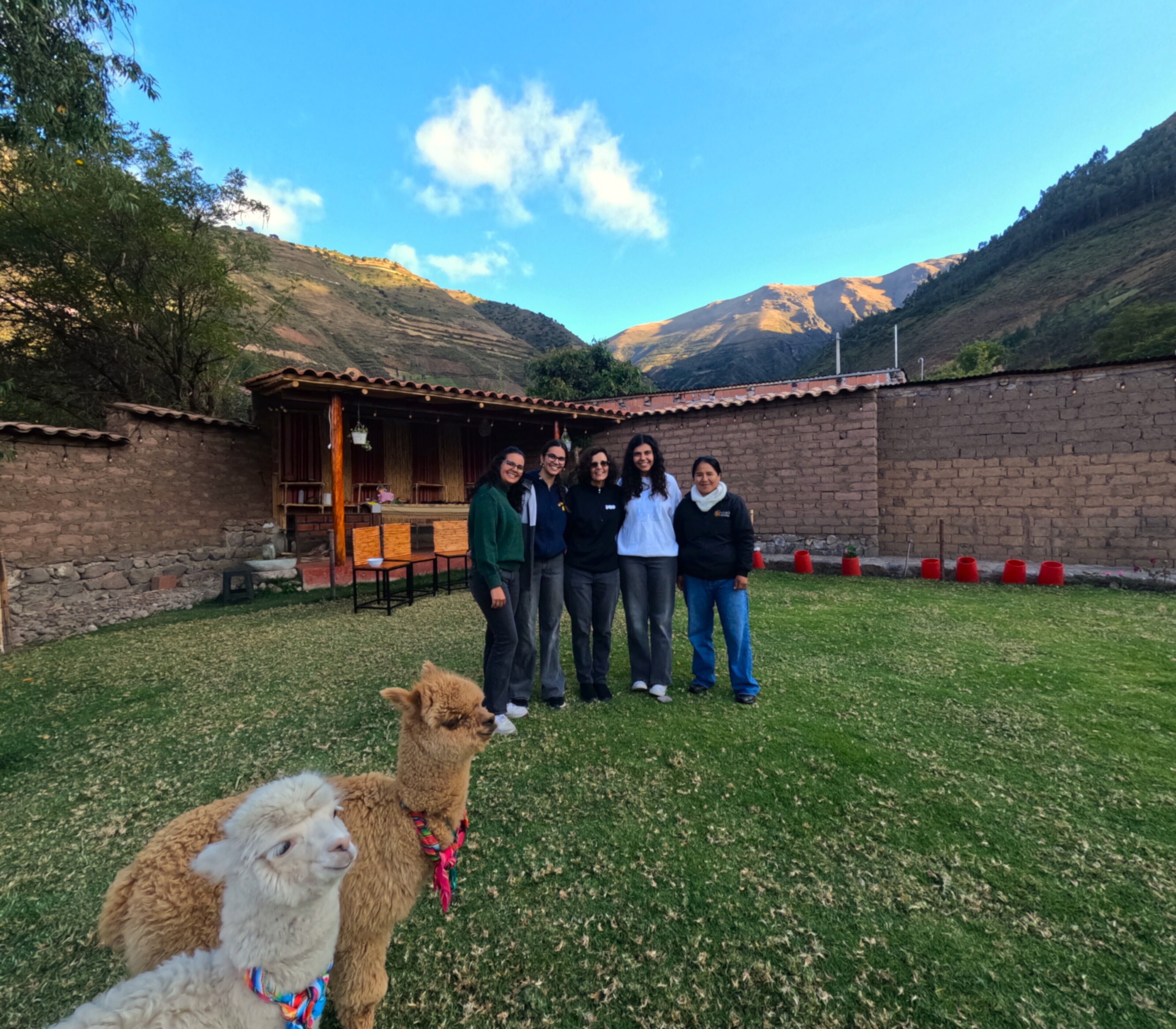 Un gruppo di persone in piedi in una zona erbosa, con un edificio sullo sfondo e montagne all'orizzonte.