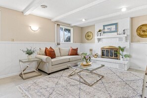 Smart TV, fireplace, books