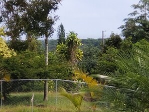 Property grounds - Spacious studio apartment with your own entrance (Keaau)