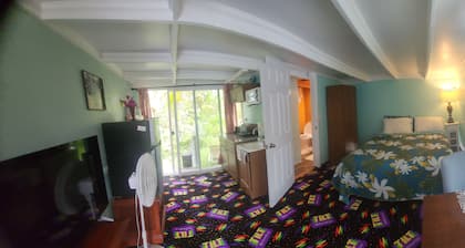 Spacious studio apartment with your own entrance