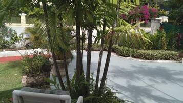 Jardines del alojamiento