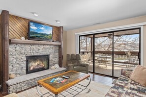 Smart TV, fireplace, books