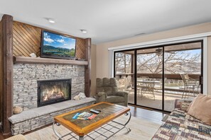 TV, fireplace, books