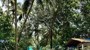 A swimming pool with a tiled edge, surrounded by lush greenery and a white fence. - Kings Villa Resort (Canacona)