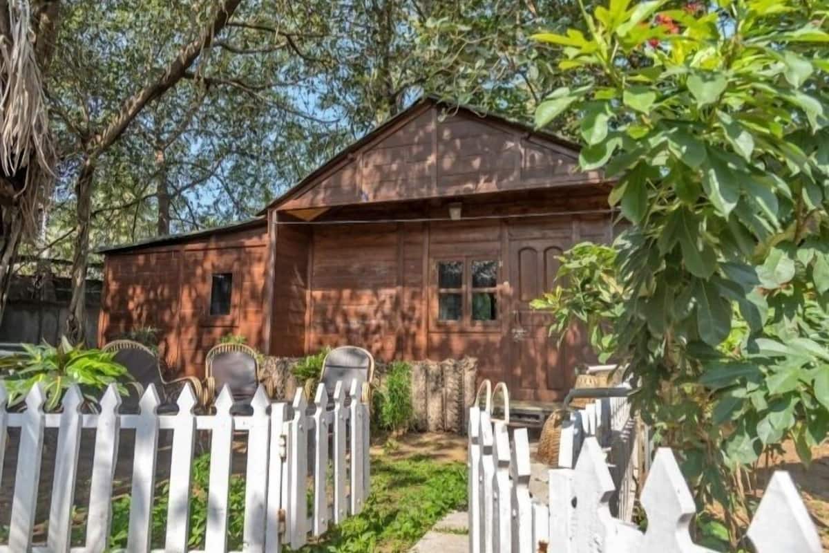 A rustic wooden house with a white picket fence, surrounded by lush greenery.