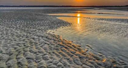 Ocean V Escape Dream Beach Vac 7min walk to beach