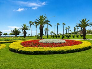 A landscaped garden with palm trees, a central flower bed, and a clear blue sky. - Prime Location with Nice Views and Beach Access. Parking available - Fast Wi-Fi. (Miraflores)