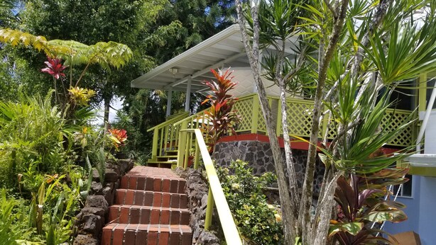 Eine Treppe, umgeben von üppiger tropischer Vegetation, führt zu einem überdachten Bereich mit geländer.