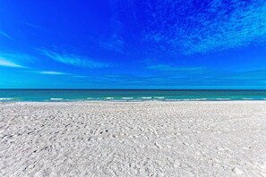 On the beach - Fins to the Left: Gulf of Mexico! On Beach! (Holmes Beach)