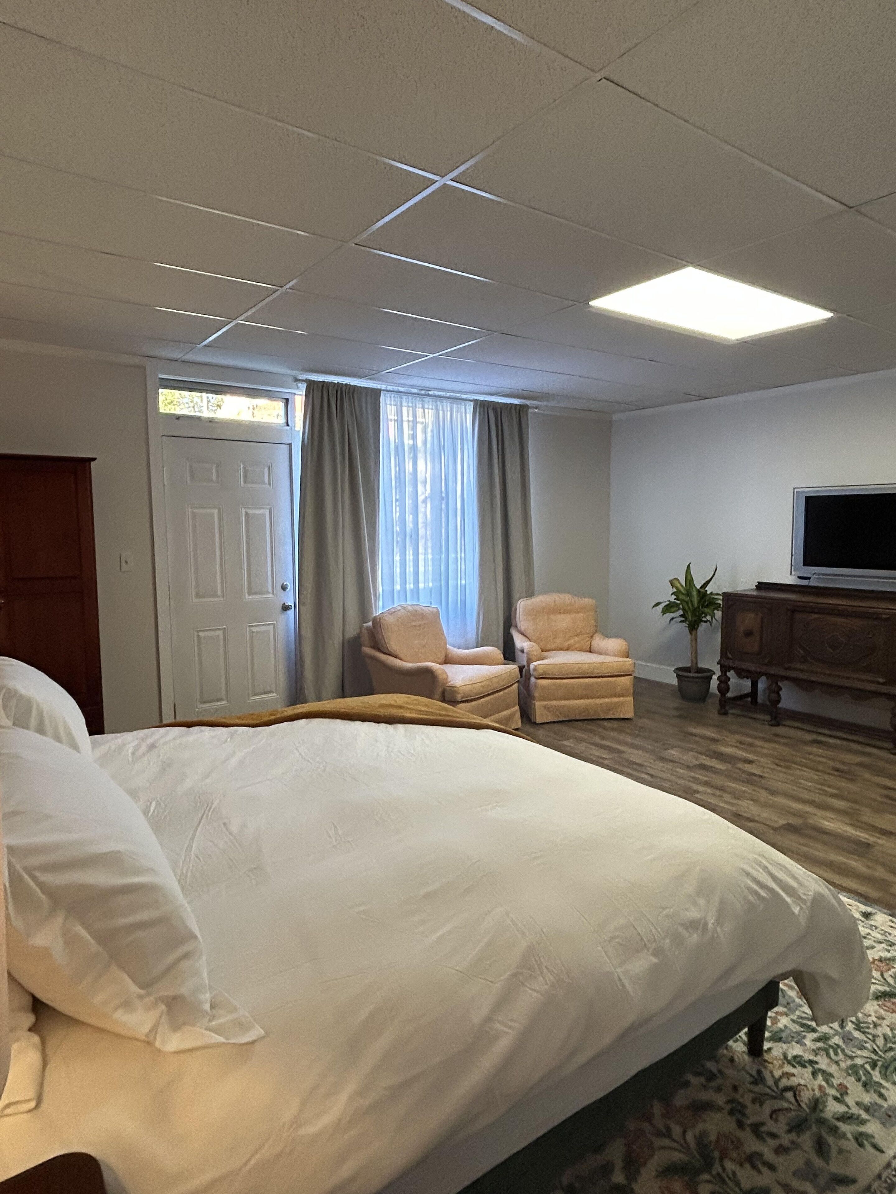 A hotel room with a large bed, two armchairs, a television, and a potted plant.