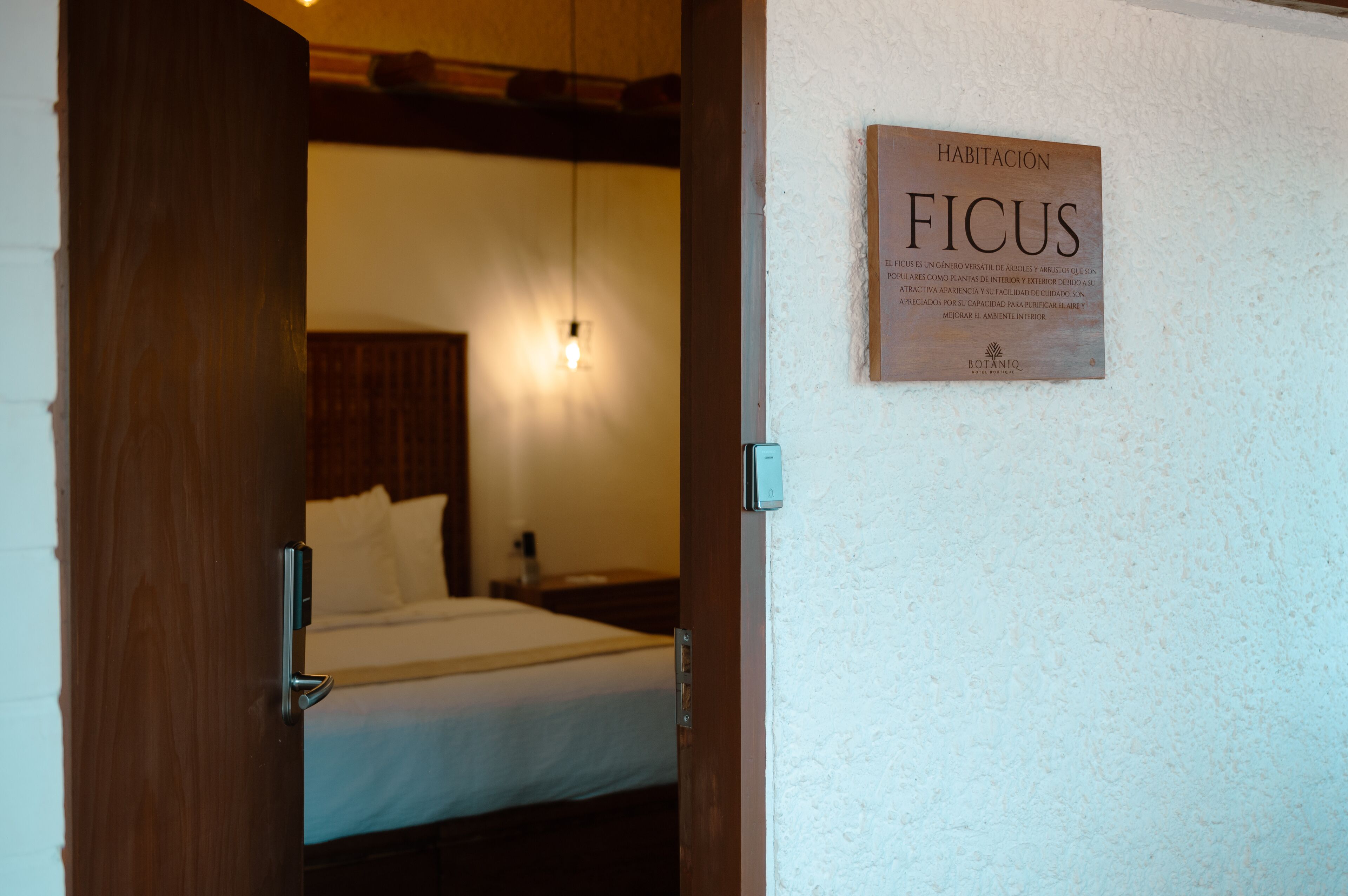 Una habitación de hotel con una cama, una mesita de noche y un cartel en la pared que dice 'Habitación FICUS'.