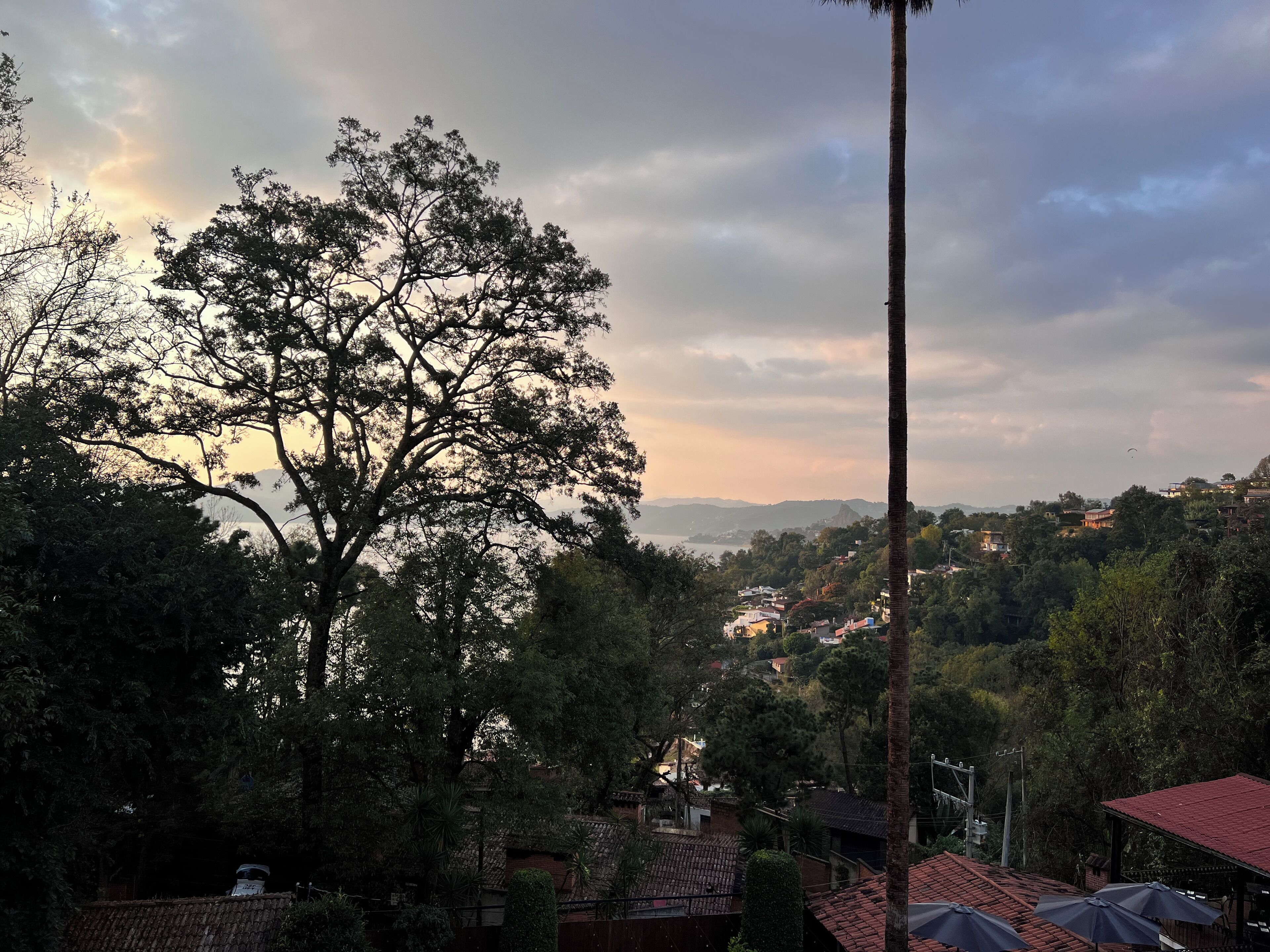 Vista desde la habitación