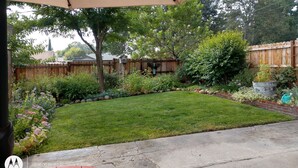 A backyard with a lawn, a wooden fence, and various plants. - Cozy Home on Vine Street  (Paso Robles)