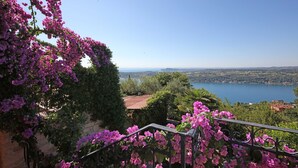 Un balcón con flores rosadas, vista a un lago y edificios al fondo.