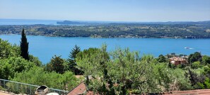 Vista desde la propiedad