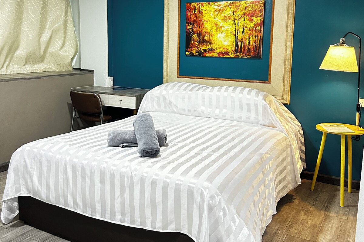 Single room in a flat share | Egyptian cotton sheets, premium bedding, down comforters, in-room safe
