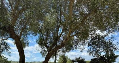 Capivento typical Apulian trullo in the countryside