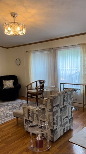 Una Smart TV, un reproductor de DVD, libros