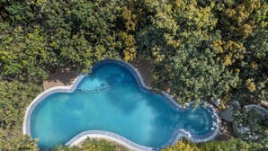 Vue aérienne d’une piscine entourée d’une forêt dense.