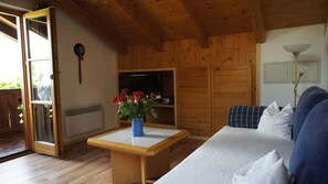 Fernseher, Stereoanlage