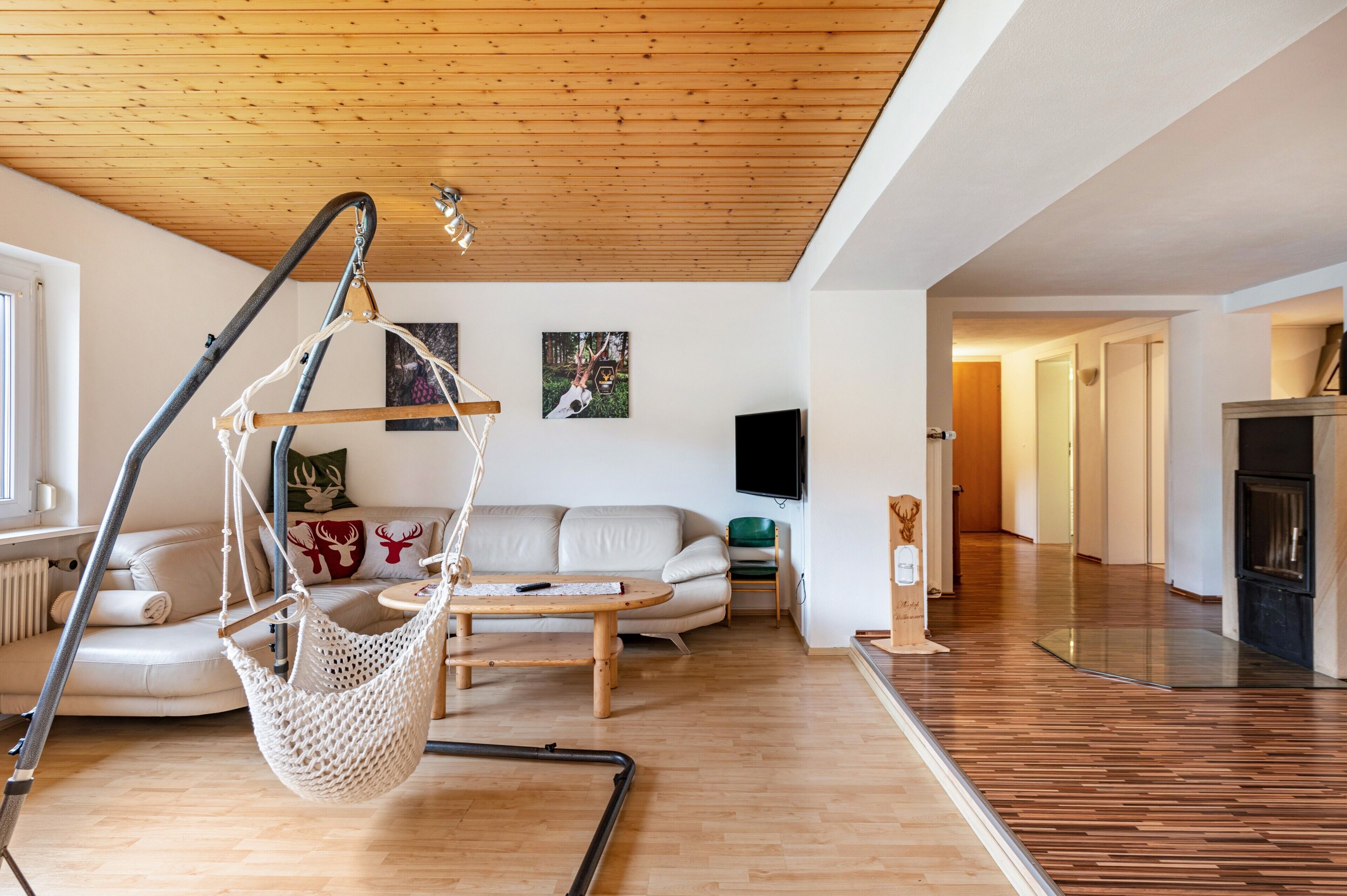 Televisión y chimenea 