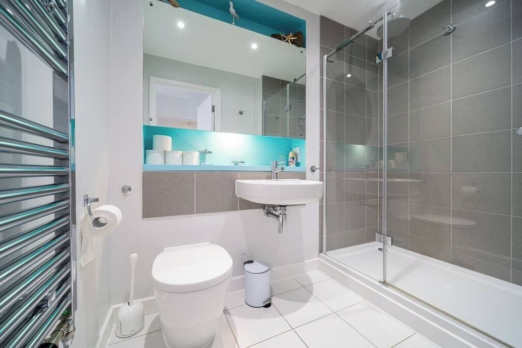 Shower, hair dryer, towels