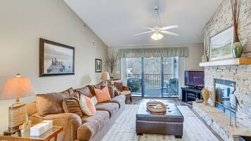 TV, fireplace, DVD player, books