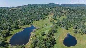 Vue aérienne d’un paysage comprenant deux lacs, entourés d’une forêt dense et de collines ondulantes.