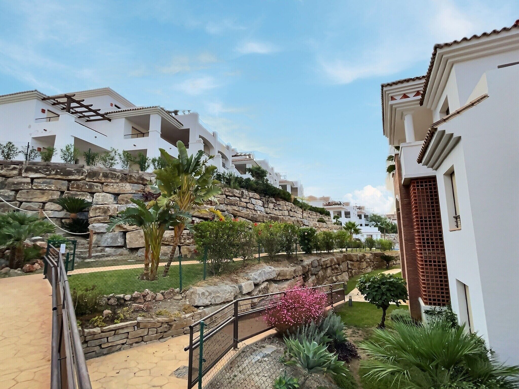 Zona residencial con casas blancas, un muro de piedra y diversas plantas.