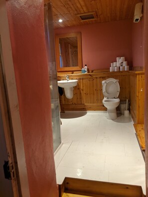 Shower, hair dryer, towels, soap - Idyllic Connemara cottage with sweeping sea, island and mountain views. (Letterfrack)